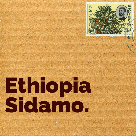 Ethiopia Sidamo Coffee Beans